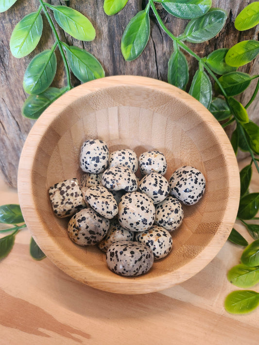 Dalmation Jasper